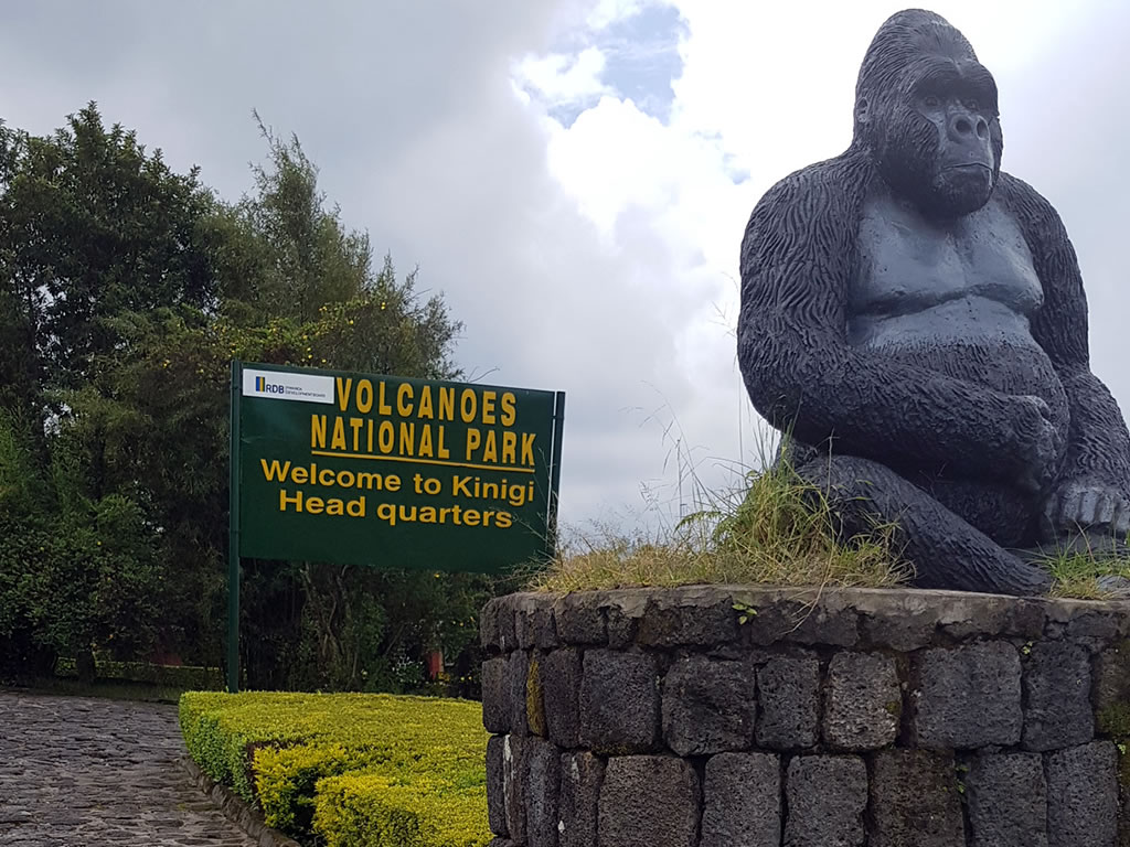 Volcanoes National Park Rwanda